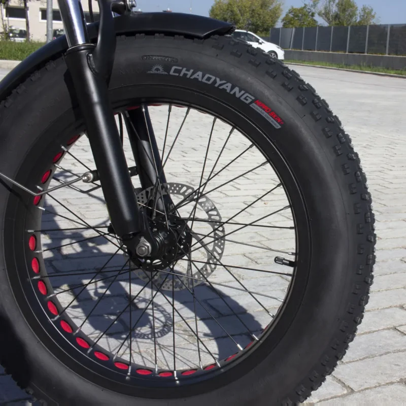 Tyre Pneumatico Copertone CHAOYANG 20"x4.0 HiPPO SKIN anti foratura punctures nero FAT bike ebike - immagine 2