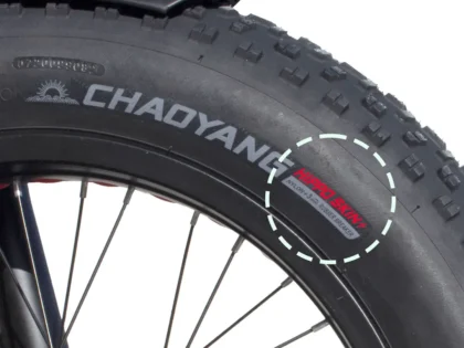 Tyre Pneumatico Copertone CHAOYANG 20"x4.0 HiPPO SKIN anti foratura punctures nero FAT bike ebike