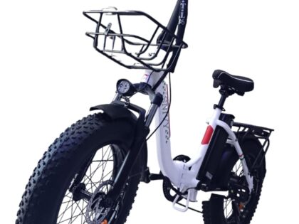 BICI ELETTRICA SNIVY con ruote 20* FAT ,500 W 48V 16AH
