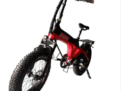 Bici elettrica Fat Bike RUNNER RACING 1000W/750W 48V NTL BIKE