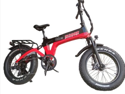 BICICLETTA ELETTRICA 500/250 WATT 48V 15 AH NTL BIKE