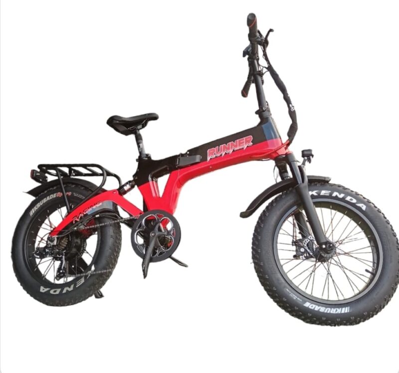 BICICLETTA ELETTRICA 500/250 WATT 48V 15 AH NTL BIKE