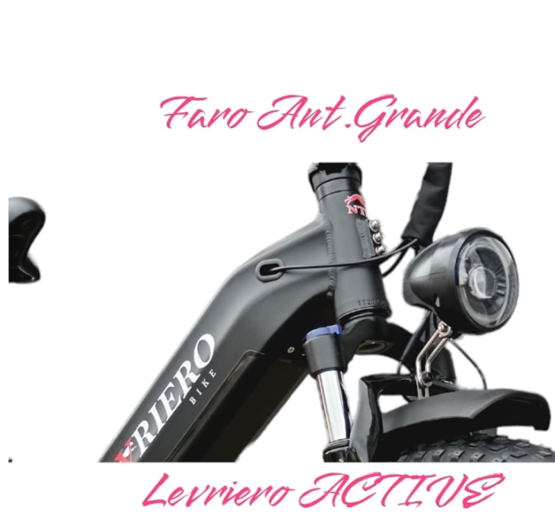 LEVRIERO ACTIVE  Bici elettrica 750w/500w 48V NTL BIKE nera - immagine 4