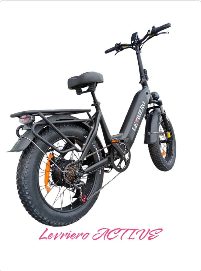 LEVRIERO ACTIVE  Bici elettrica 750w/500w 48V NTL BIKE nera - immagine 2